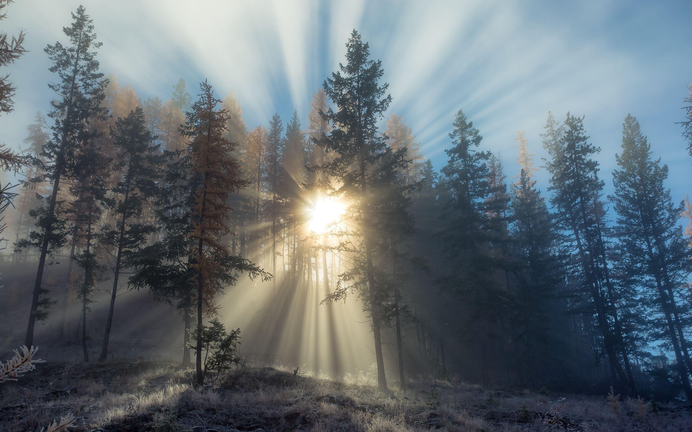 2880x1800 Autumn Sunrise for the Retina display x 1800