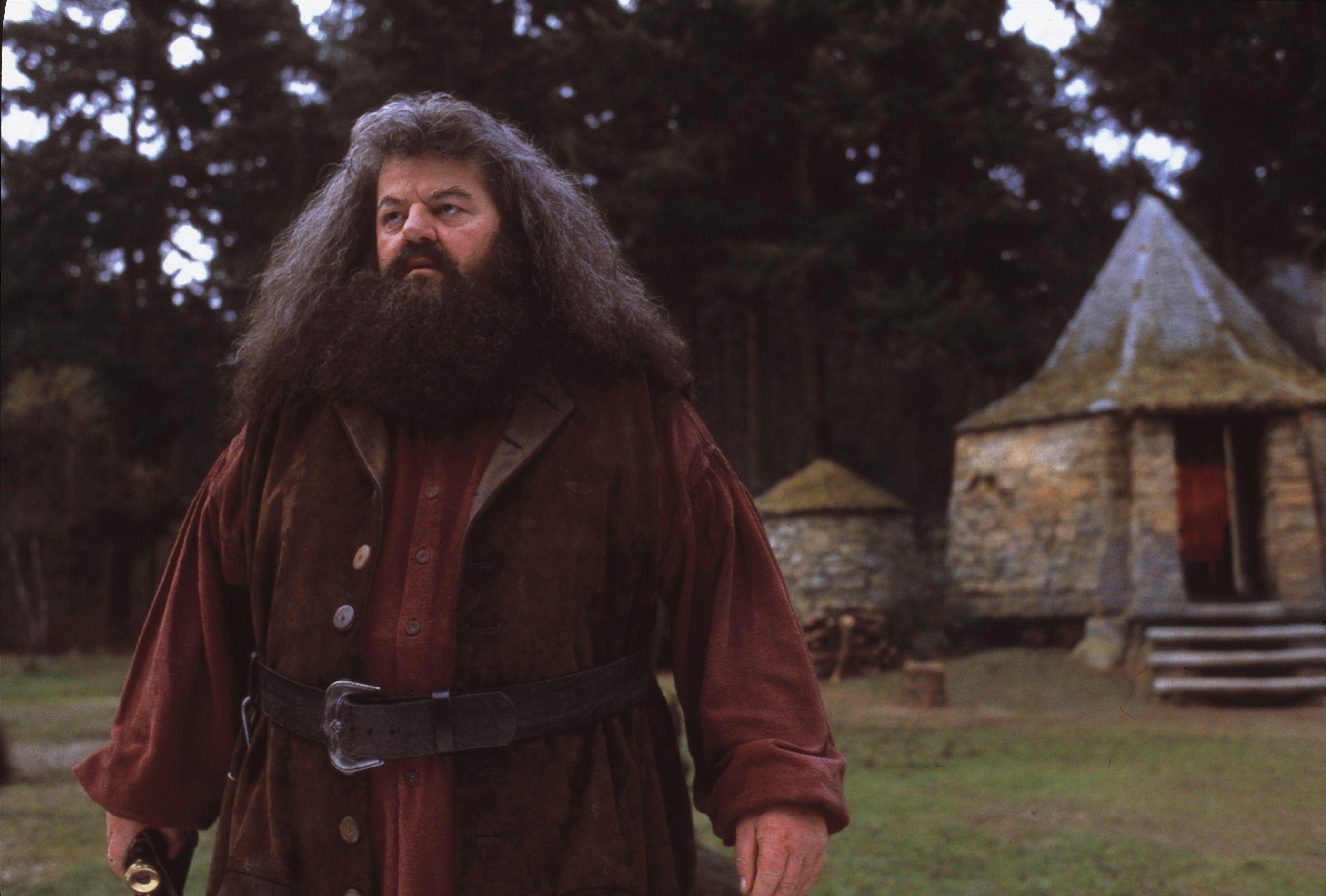 rubeus hagrid wallpaper