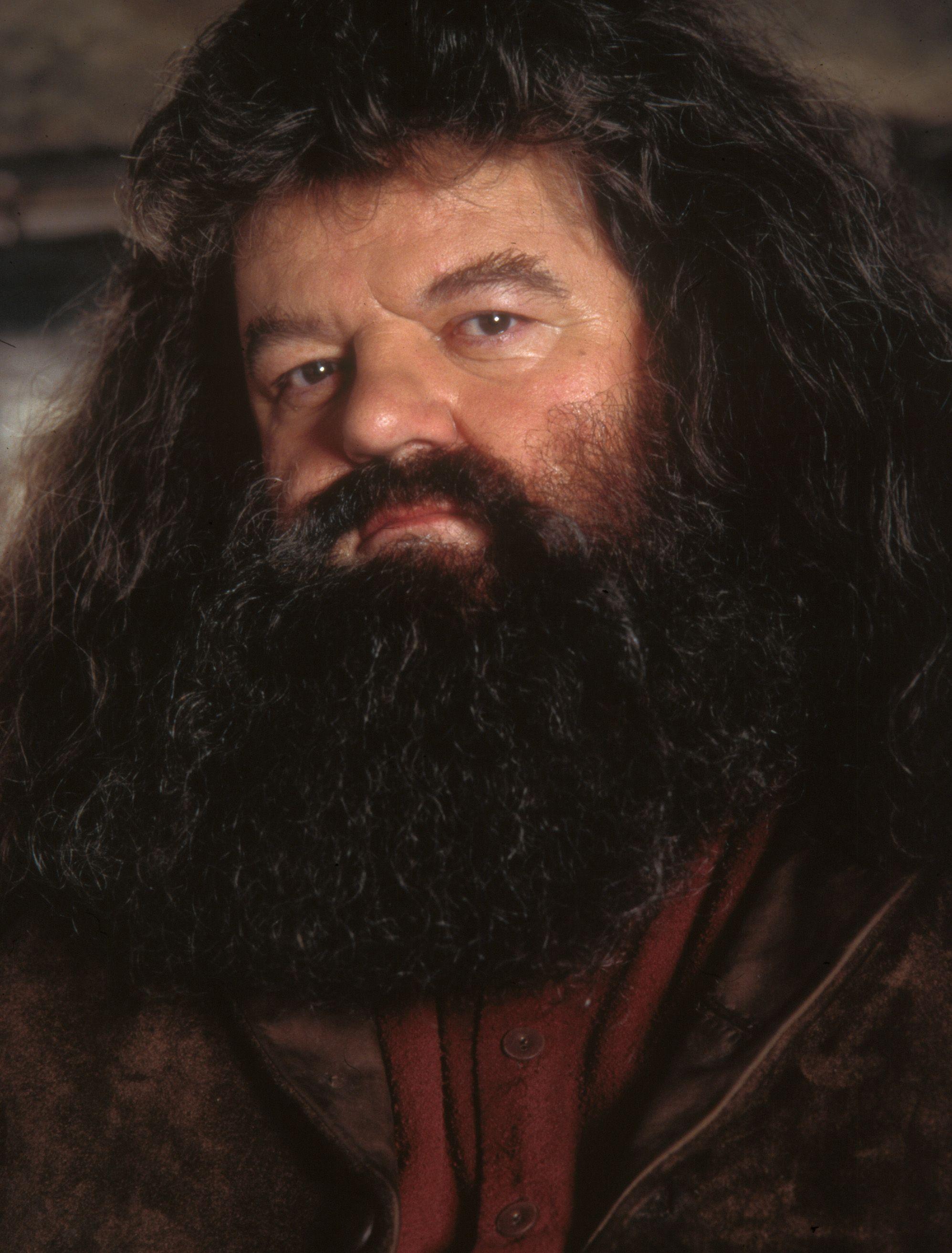 rubeus hagrid wallpaper