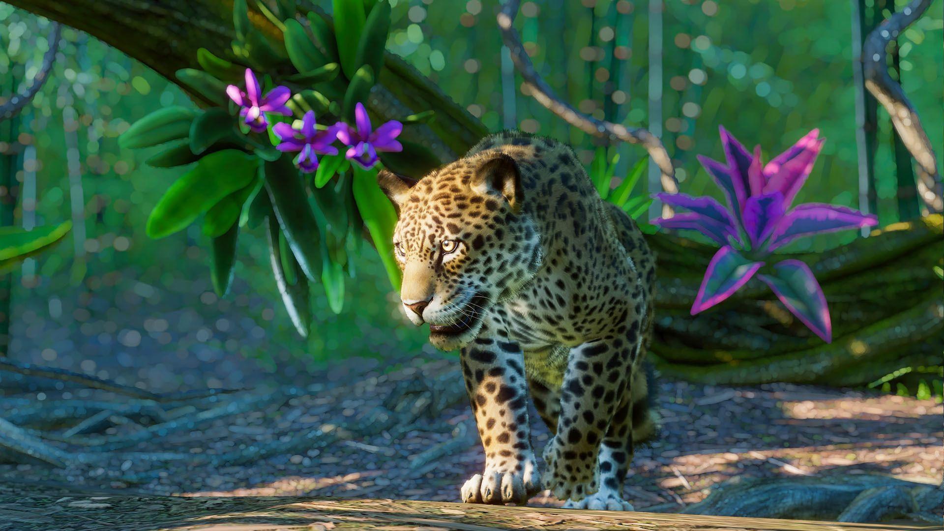 1920x1080 Planet Zoo welcomes five new animals from South America