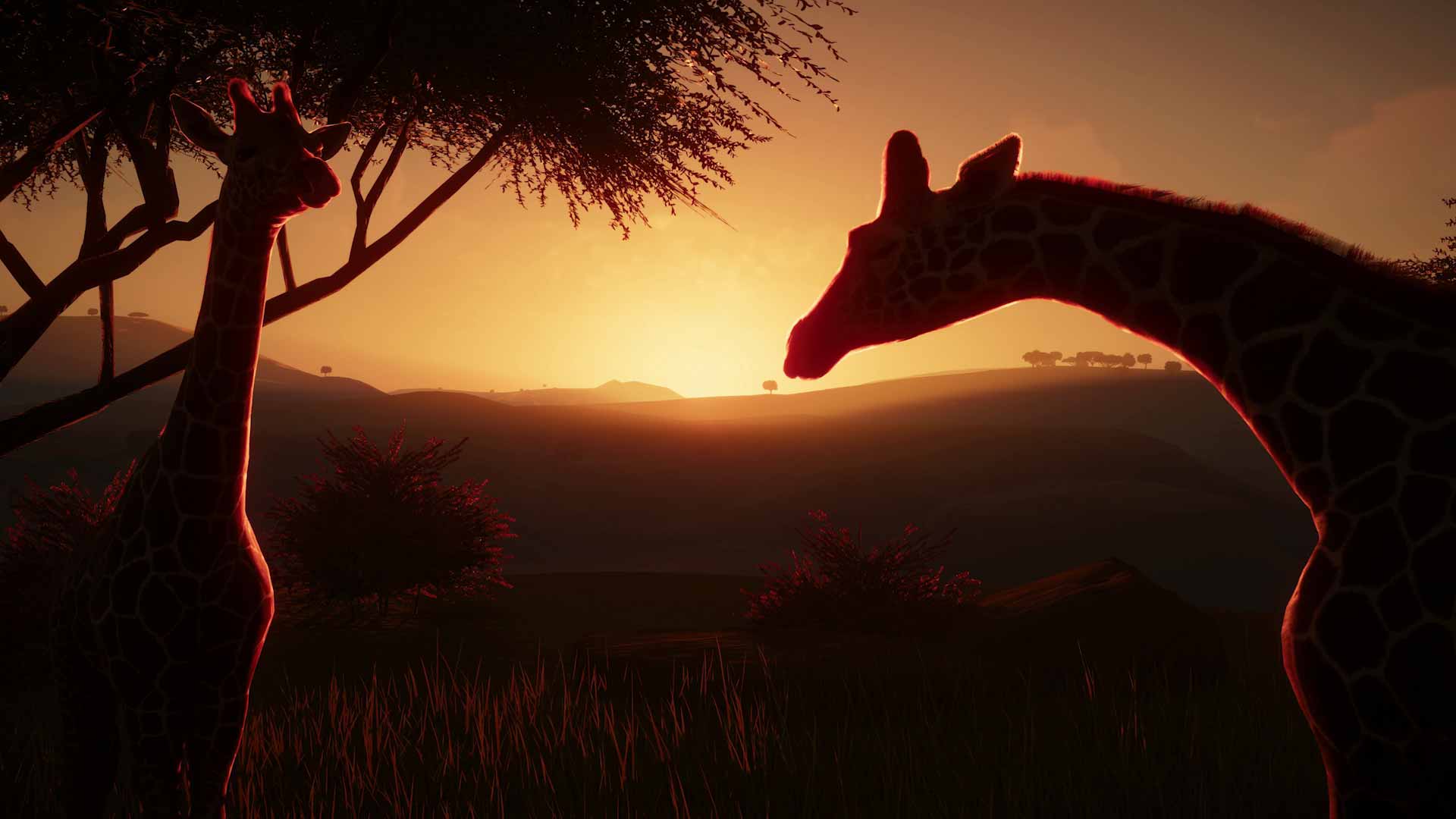 1920x1080 Planet Zoo runs wild