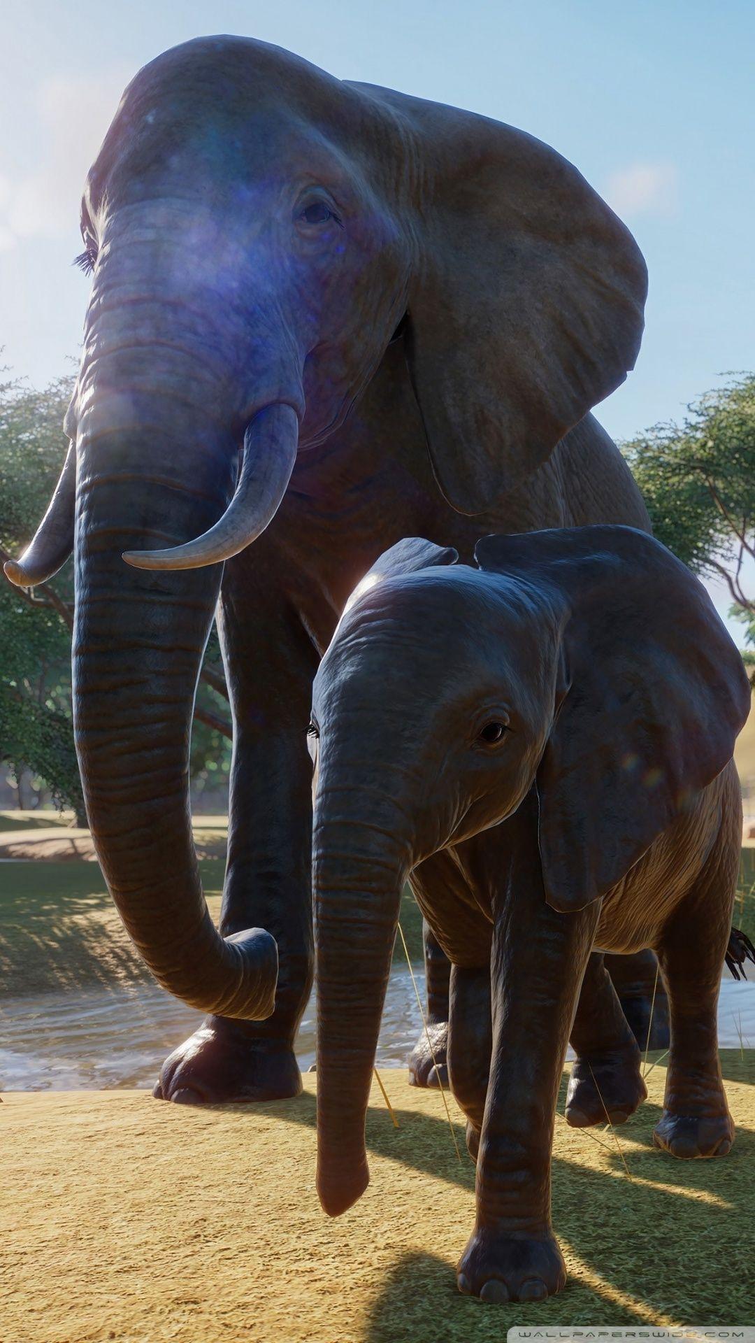 1080x1920 Planet Zoo Video Game Ultra HD Desktop Background Wallpaper for 4K UHD TV : Widescreen & UltraWide Desktop & Laptop : Tablet