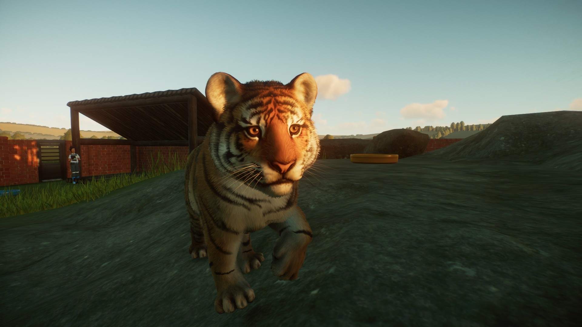 1920x1080 Planet Zoo to Earn Lots of Conservation Credits During Events