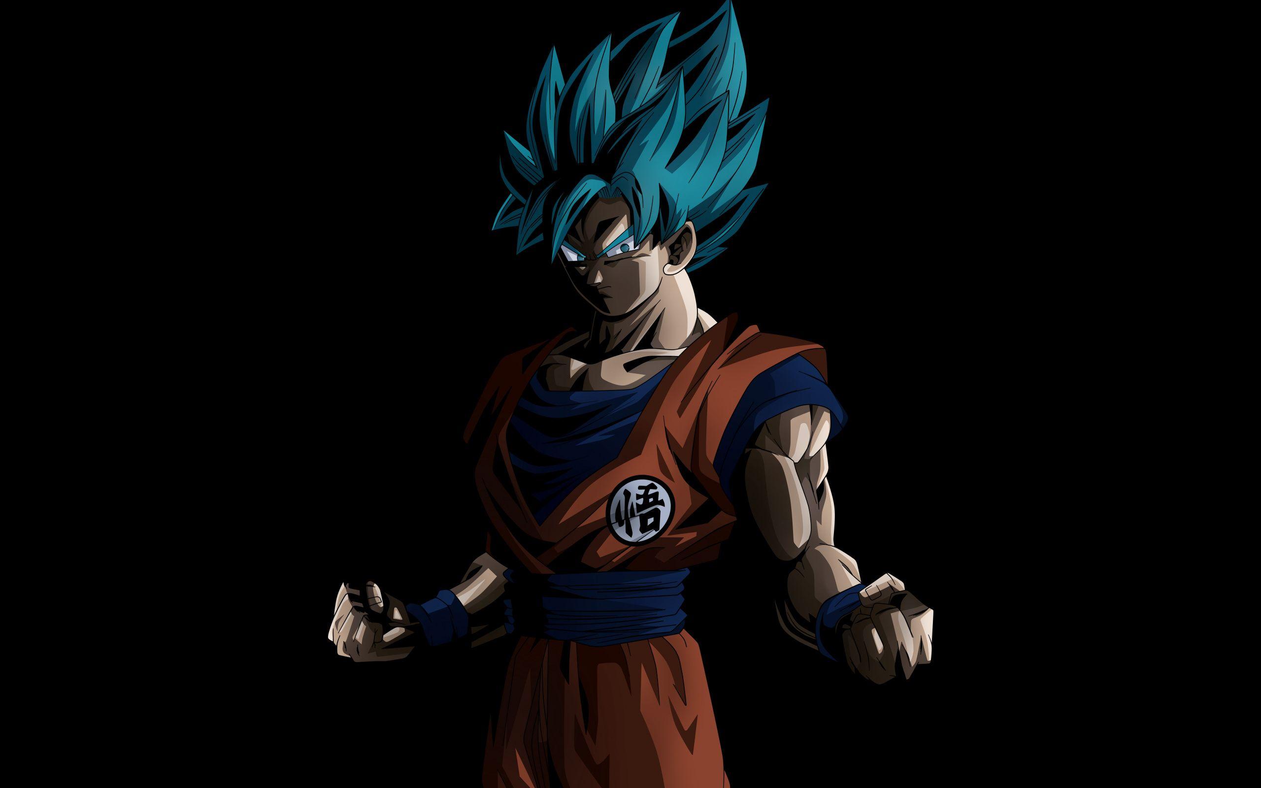 2560x1600 Download Goku, black, dragon ball super, anime wallpaper, 2560x Dual Wide, Widescreen 16: Widescreen