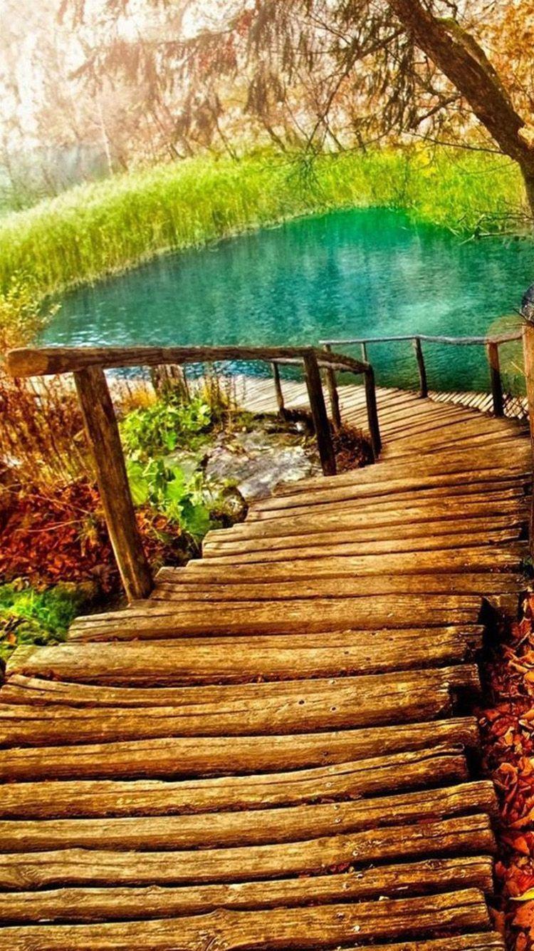 750x1334 Nature iPhone 6 Wallpaper 169. Wallpaper. Wallpaper