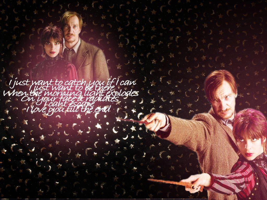 1024x768 Tonks & Lupin Wallpaper: Tonks and Lupin. Tonks and lupin, Harry potter, Remus and tonks