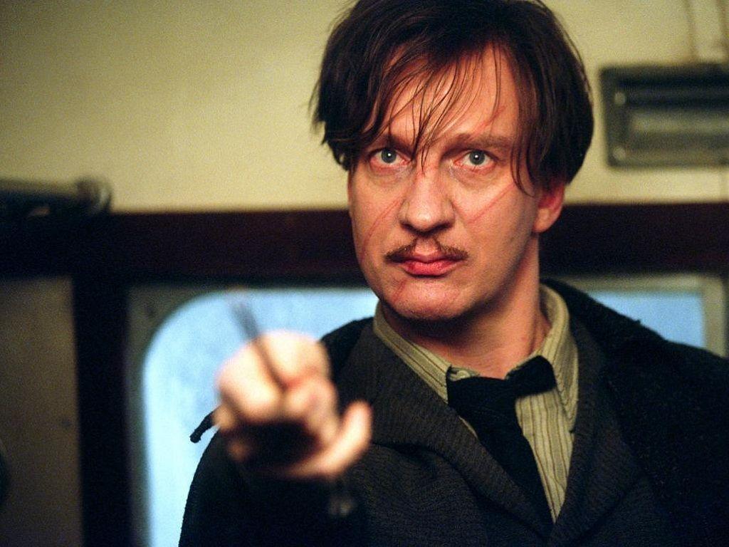1024x768 My Inspirations: Lupin & Slughorn