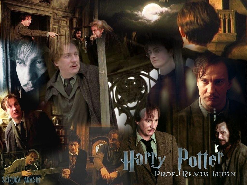 1024x768 REmus Lupin Professors Wallpaper