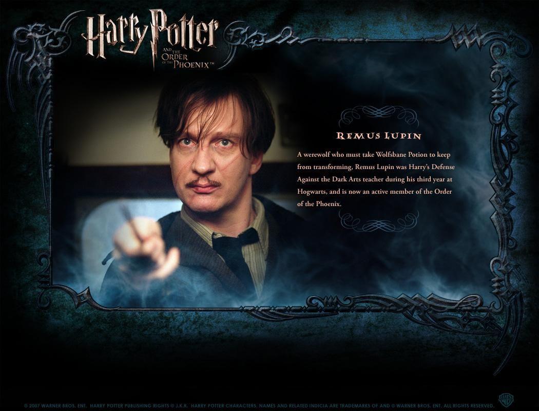 1050x800 Professor Lupin Quotes. QuotesGram
