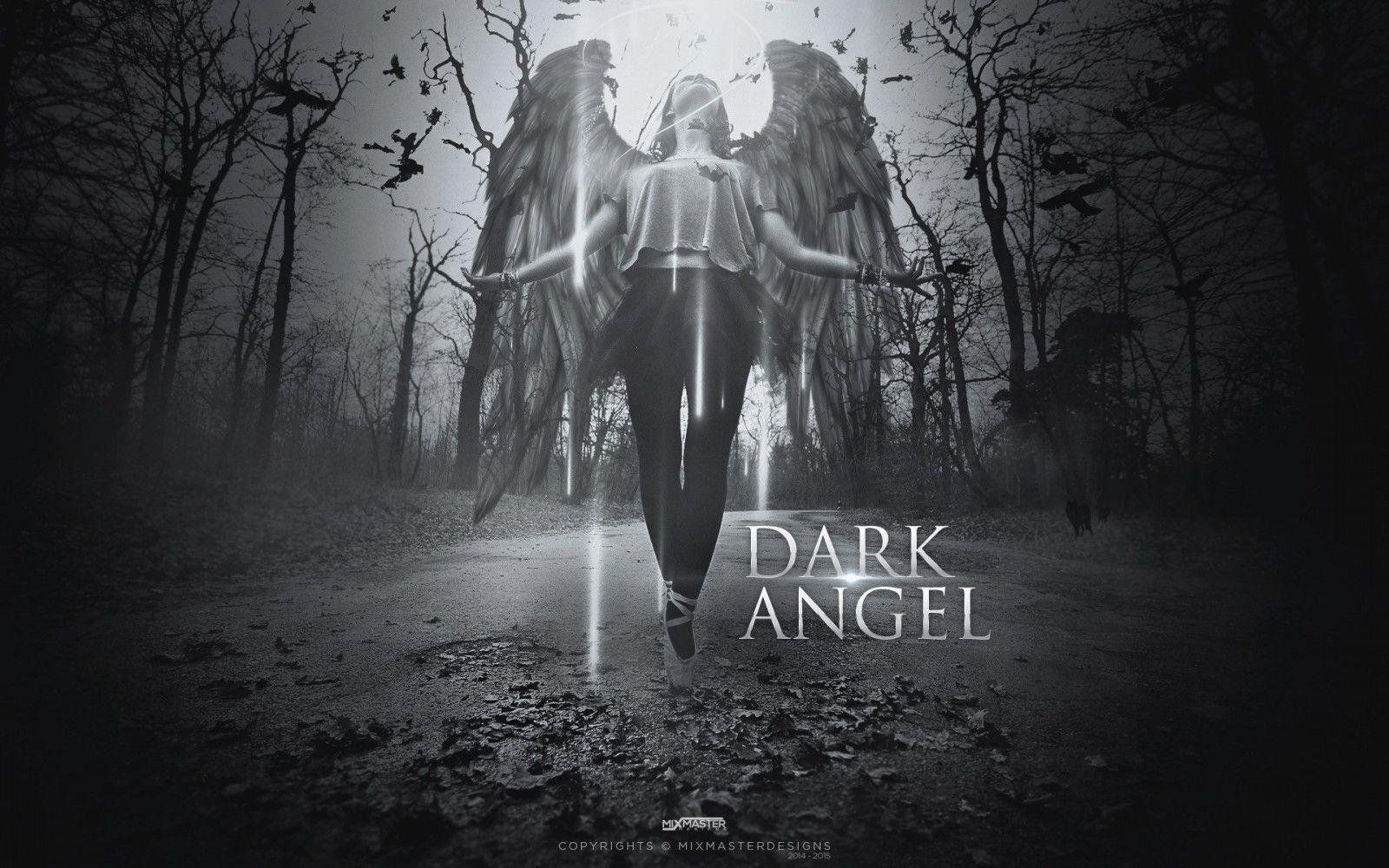 1600x1000 #Zyzz Veni Vidi Vici, #monochrome, #angel, #typography, #black background, #Latin, #minimalism, wallpaper
