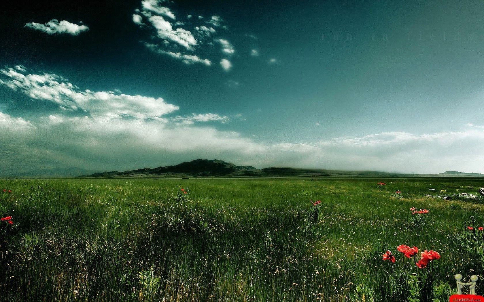 Abstract Nature iPhone Wallpapers Top Free Abstract Nature iPhone