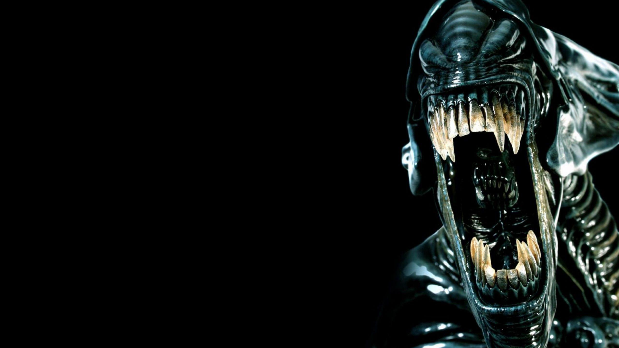 2560x1440 Wallpaper