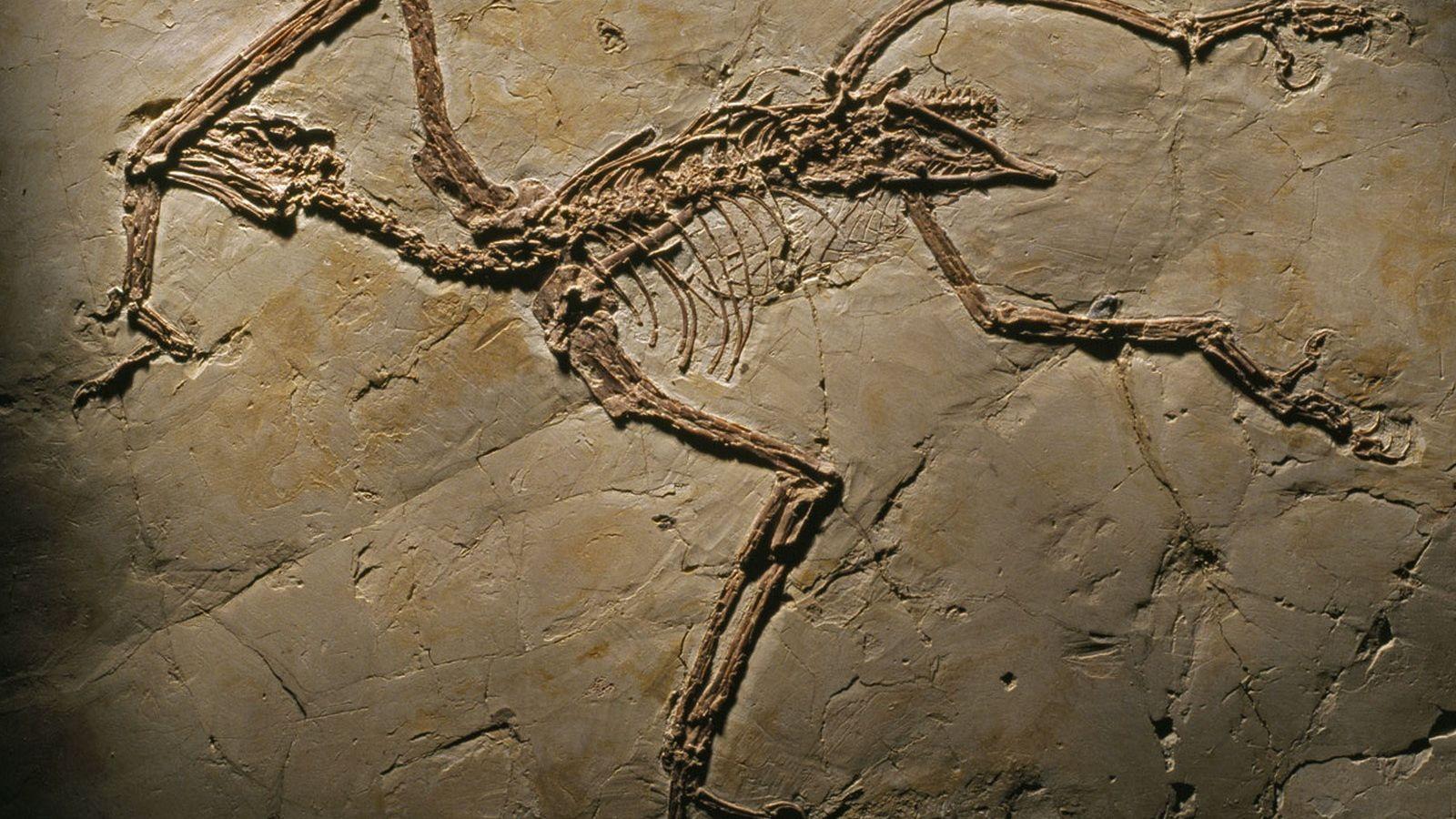 1600x900 Archeology Desktop wallpaper 1600x900