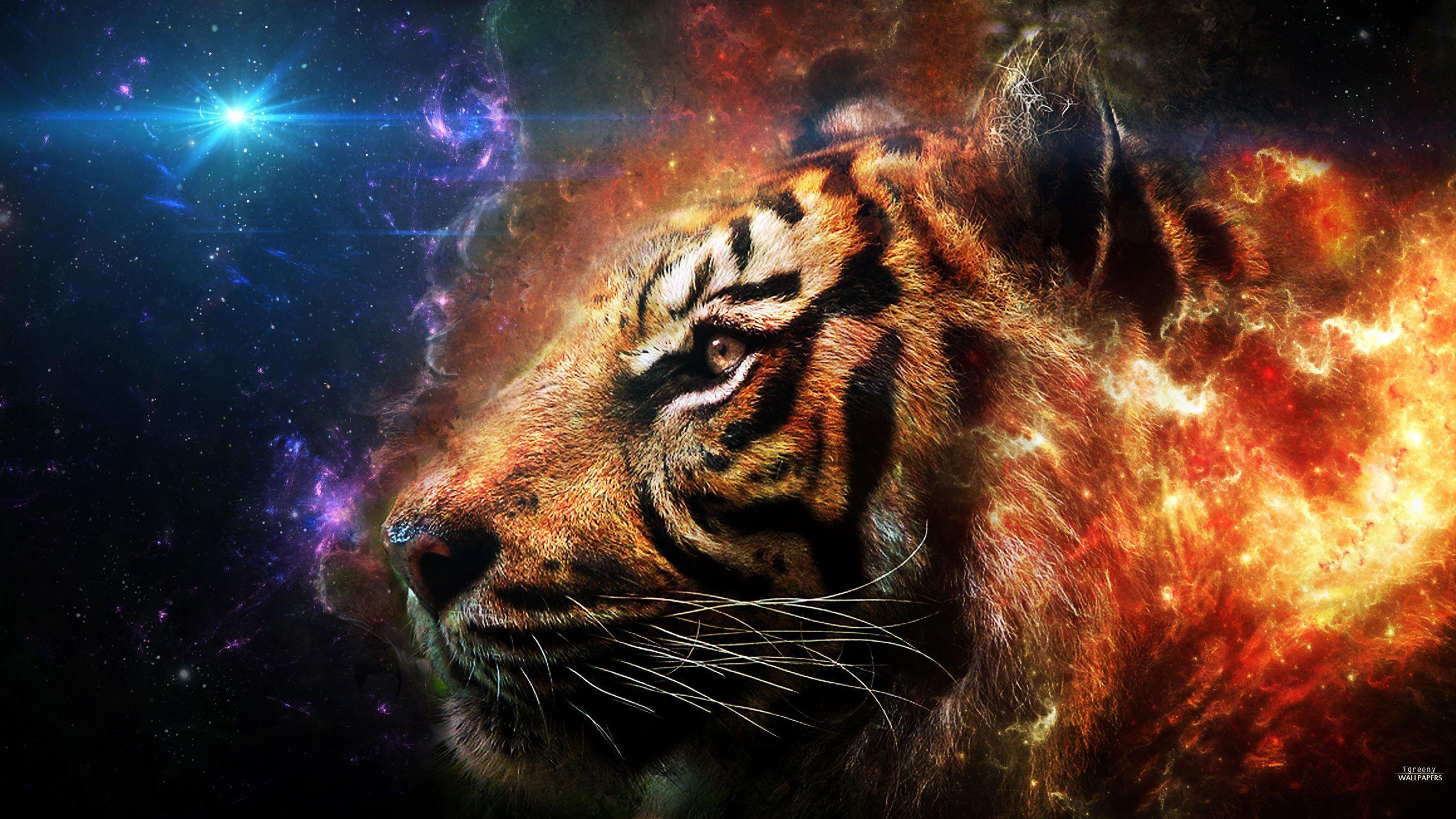 2560x1440 Fire Tiger HD Wallpaper & Background Download