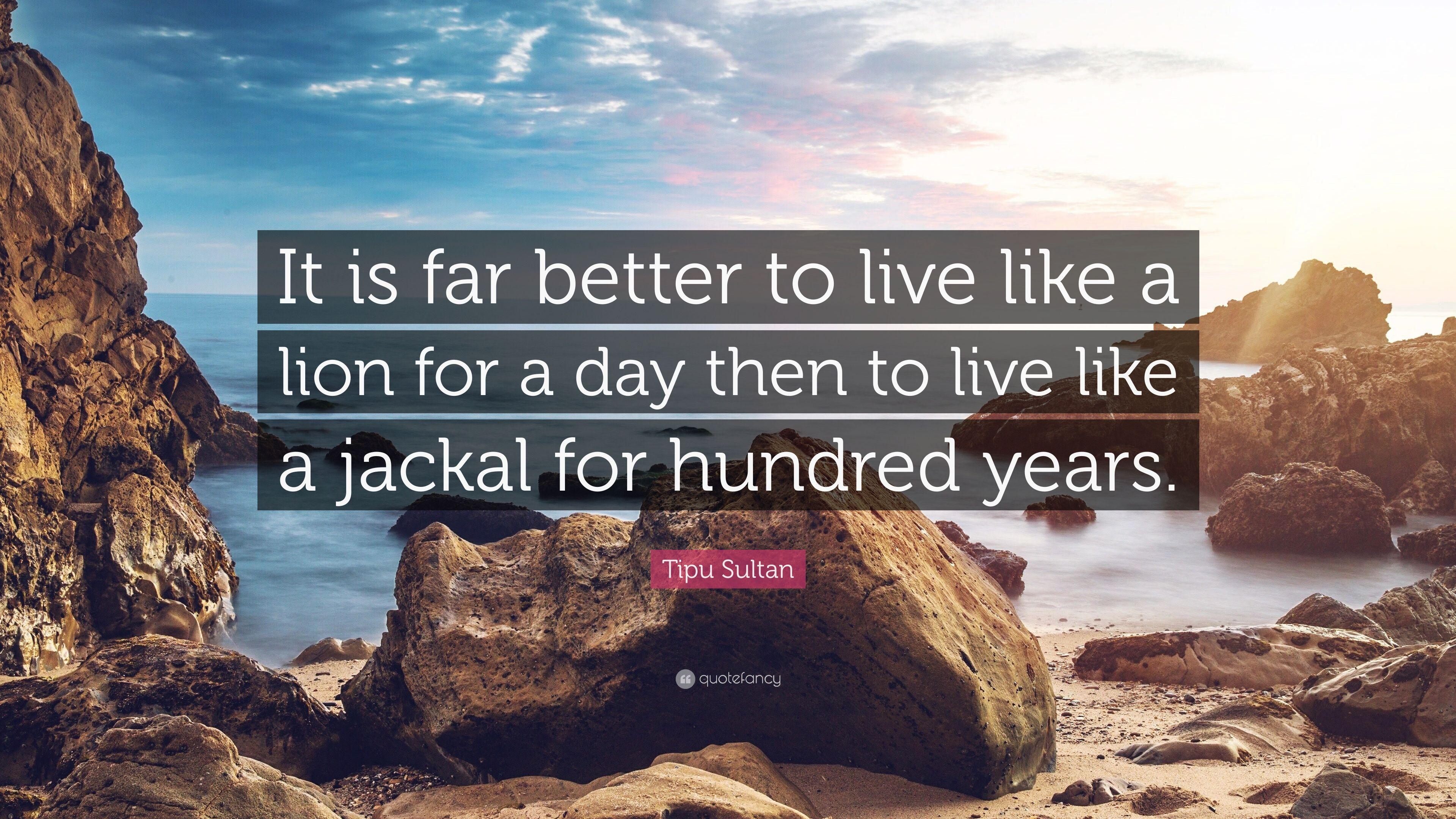 3840x2160 Tipu Sultan Quote: “It is far better to live like a lion for a day then to live like a jackal for hundred years.” (14 wallpaper)