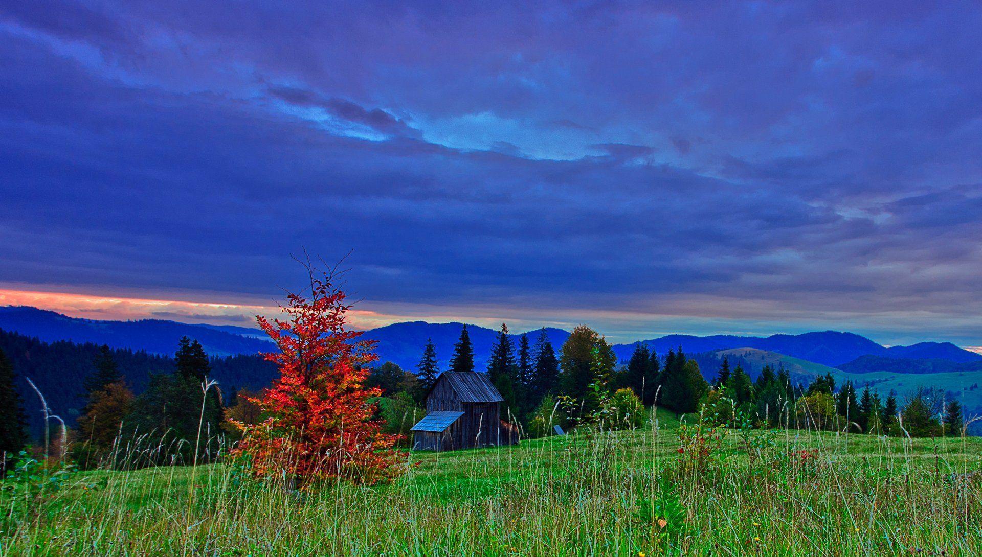 1920x1090 hdr romania sky clouds night slope mountain tree autumn nature HD