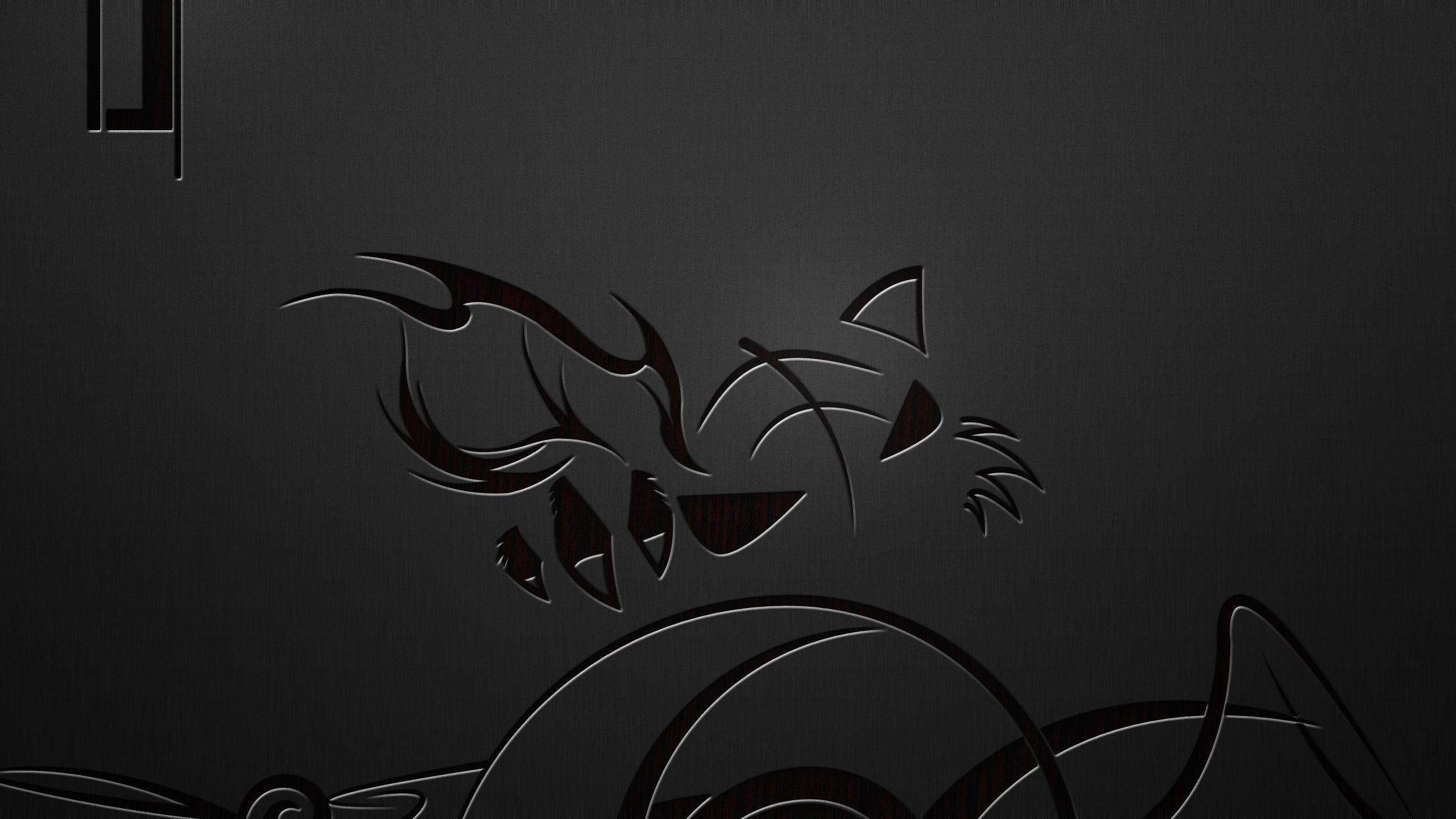 2560x1440 Black Metallic Wallpaper