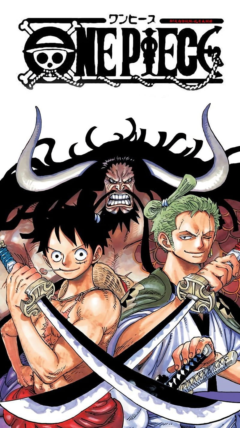 800x1422 One piece, Wano, Anime, Luffy, Zoro, Manga, HD phone wallpaper