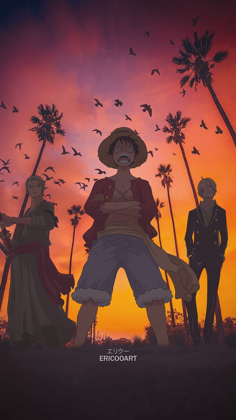 800x1422 One Piece, orange, sky, strawhat pirates, luffy, sanji, luffy, zoro, sanji, one piece, HD phone wallpaper