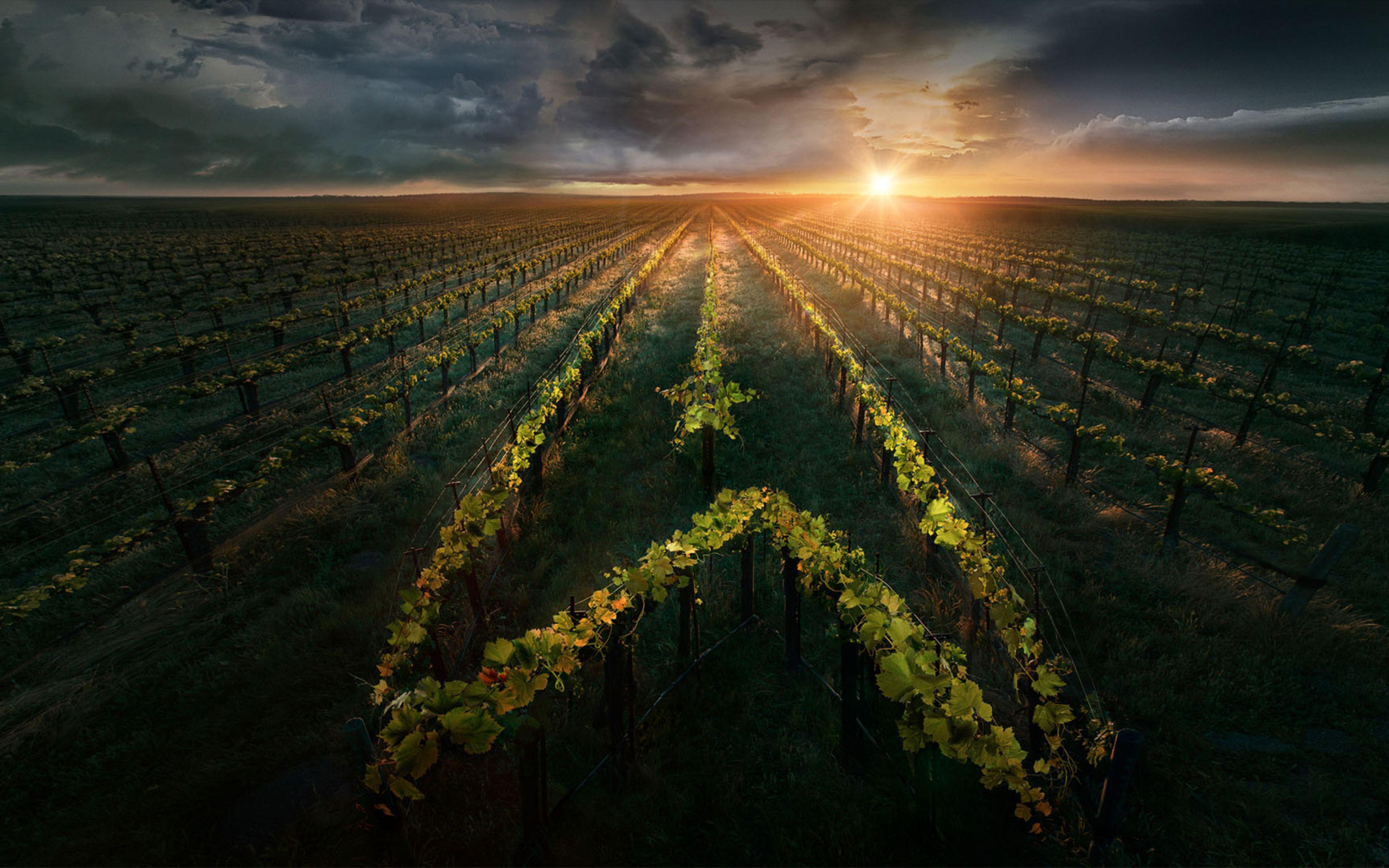 3840x2400 Star Trek Picard Poster UHD 4K 3840x2400 Resolution Wallpaper, HD TV Series 4K Wallpaper, Image, Photo and Background