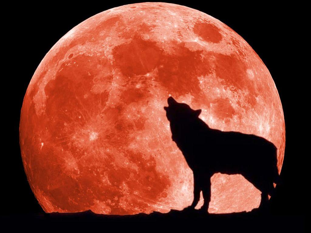 1024x768 Popular Red Moon Background Image