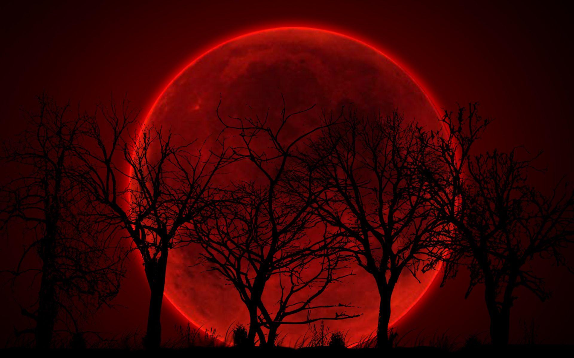 1920x1200 Red Moon Wallpaper
