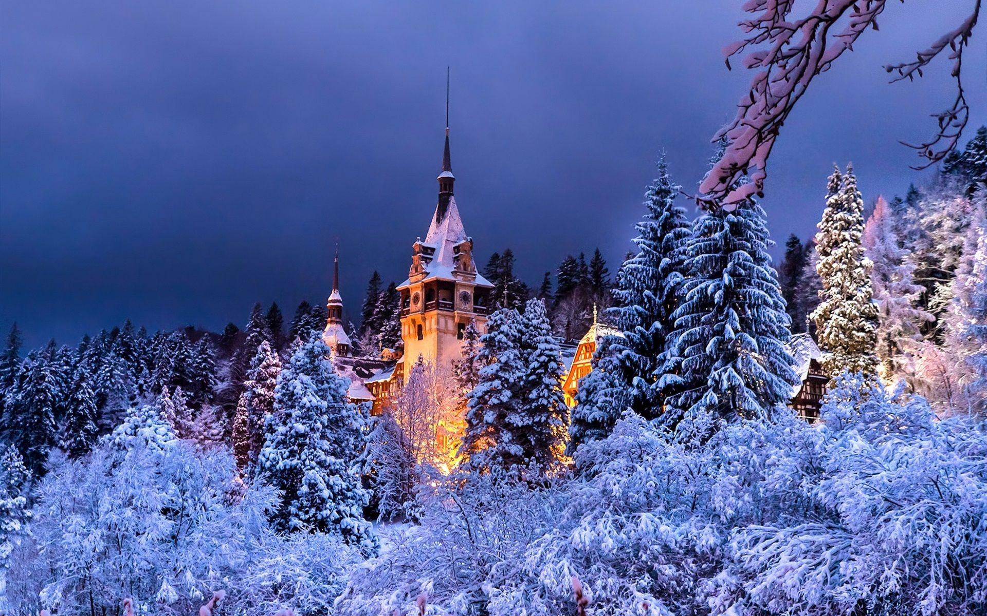 1920x1200 Romania, Sinaia, Peles castle, winter, trees, snow, night, lights