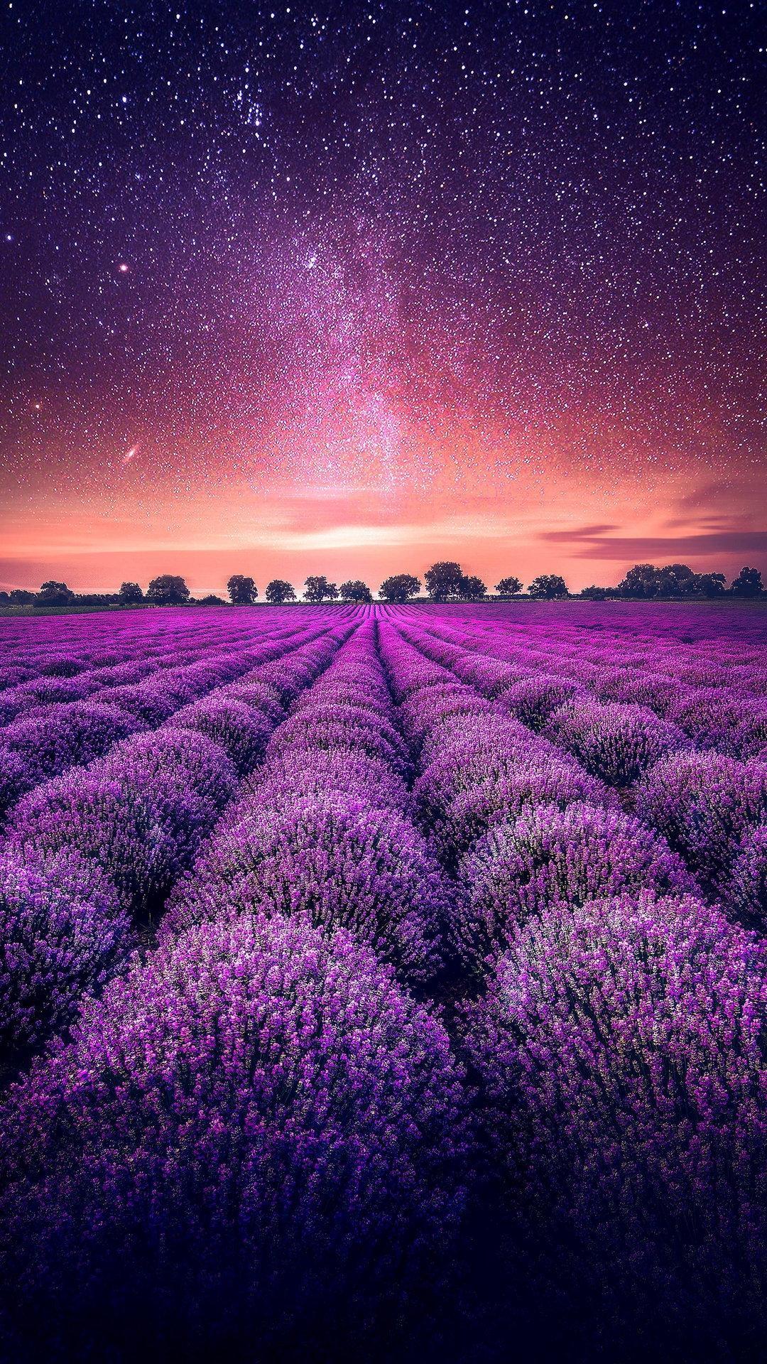 1080x1920 Download Starry Sky Wallpaper, HD Background Download