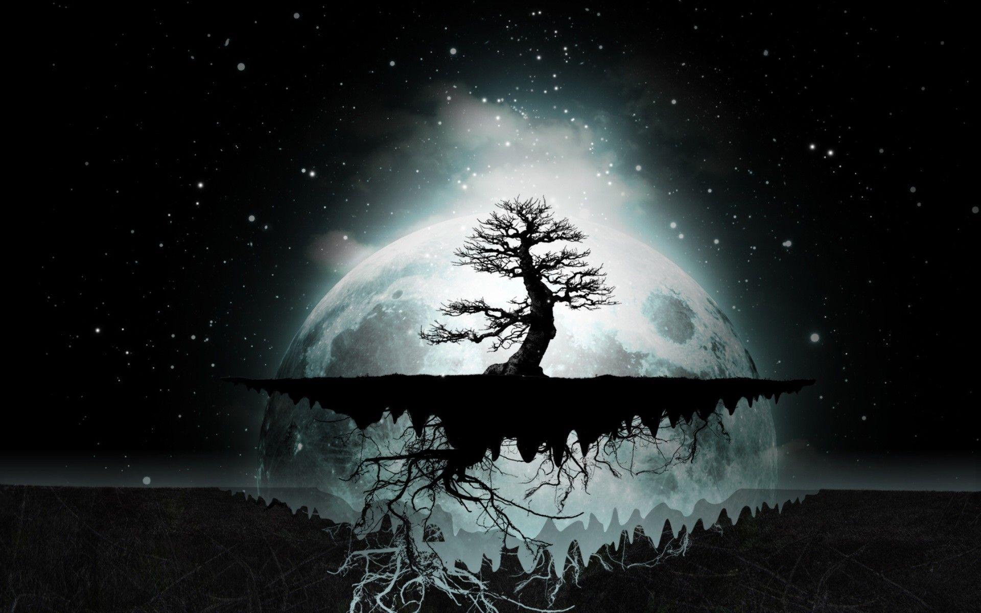 1920x1200 trees - Background image wallpaper, Night sky wallpaper, Abstract tree