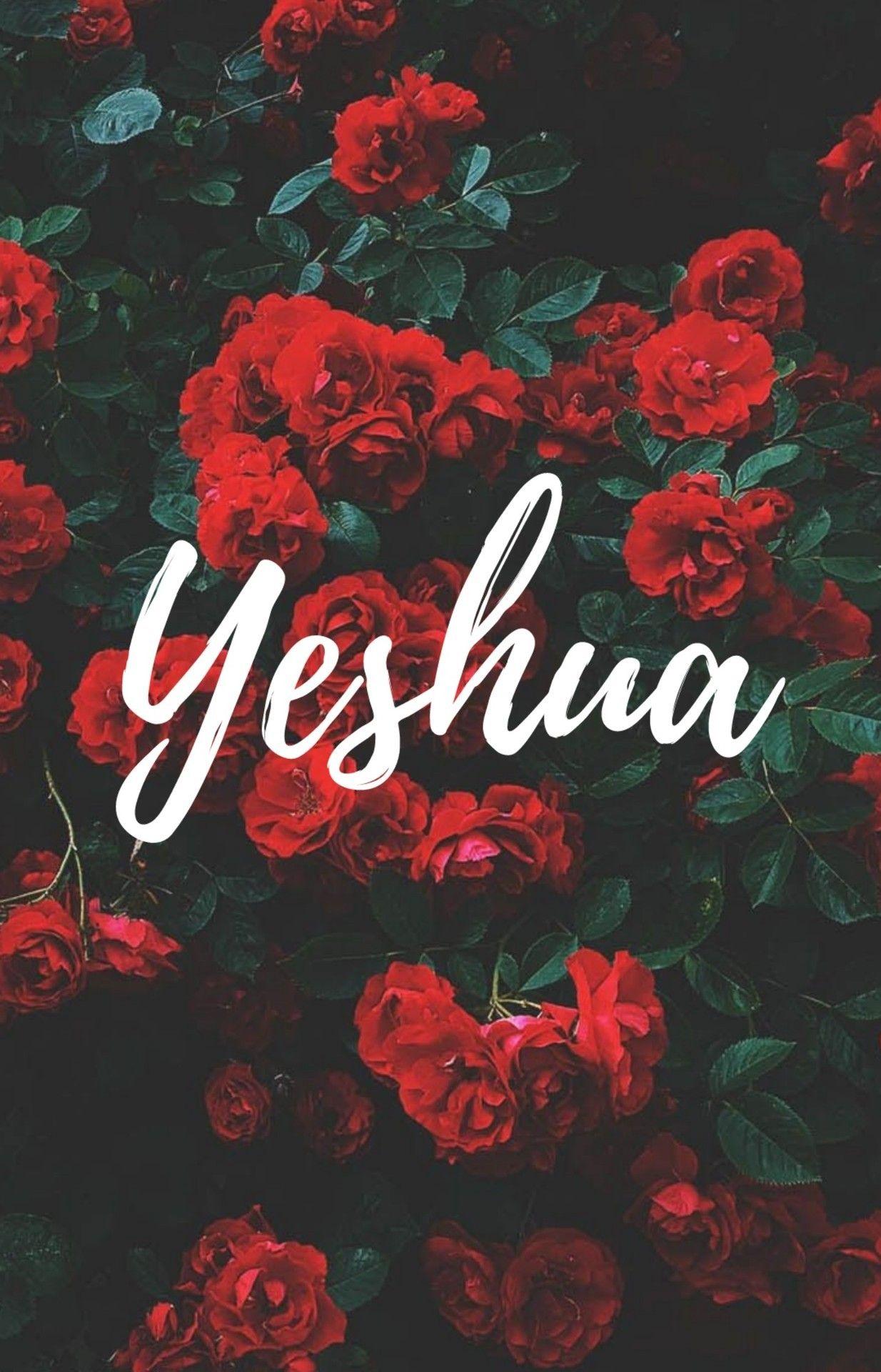 Yeshua Wallpapers - Top Free Yeshua Backgrounds - WallpaperAccess