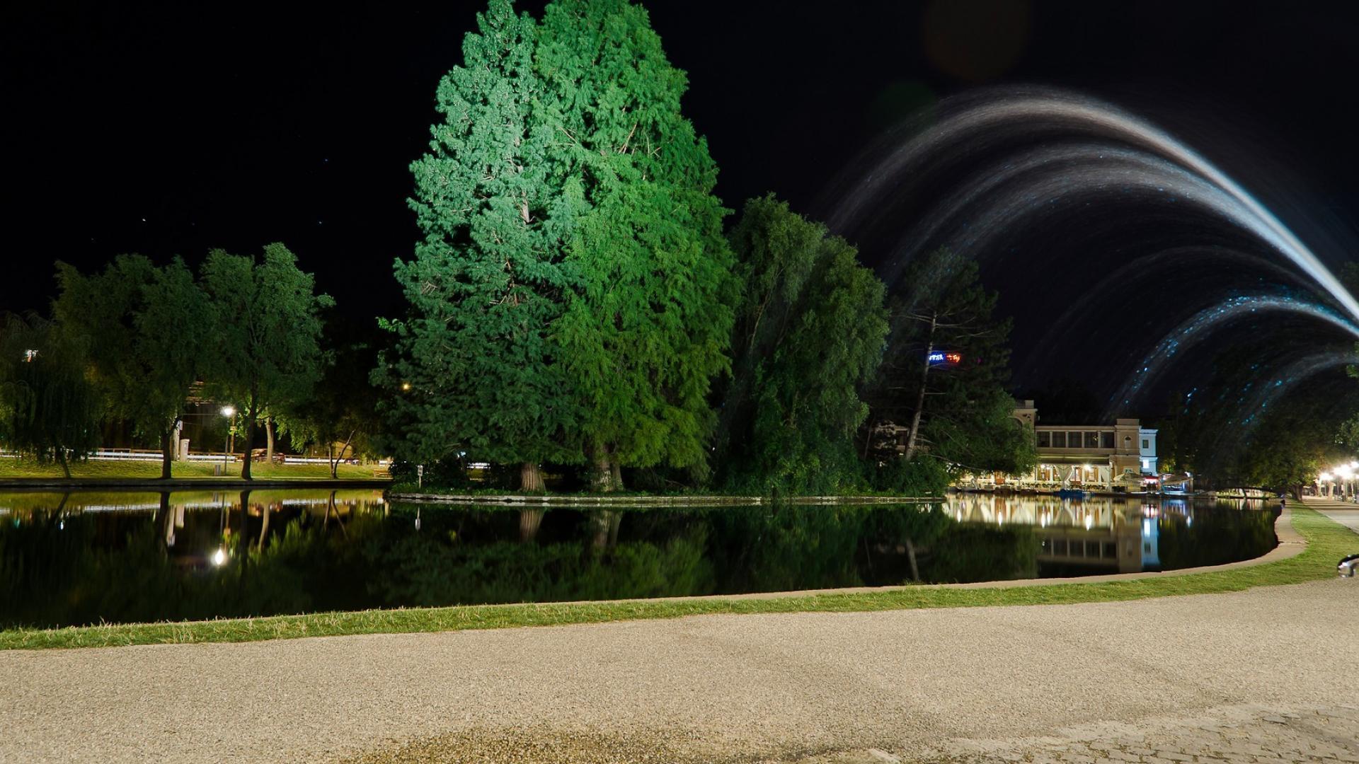 1920x1080 Trees night lights walk bridges romania roads parks wallpaper