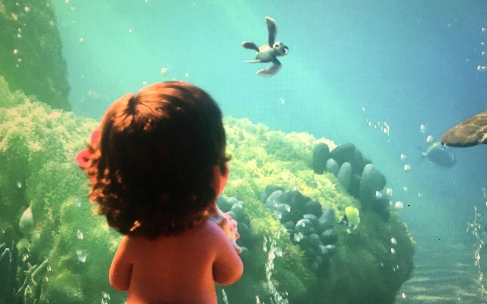 Ala Moana Wallpapers - Top Free Ala Moana Backgrounds - WallpaperAccess