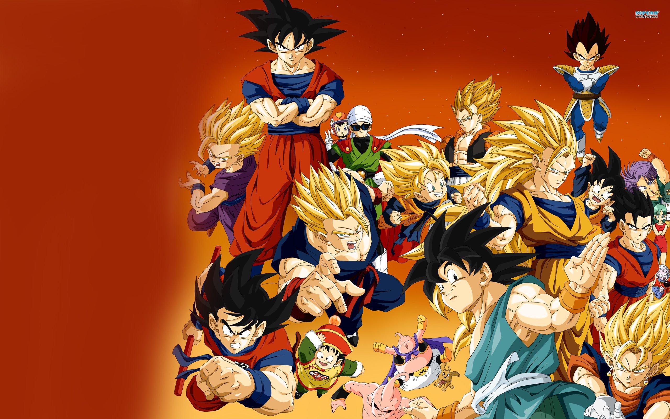 2560x1600 HDC 47 Wallpaper of Dragon Ball HD