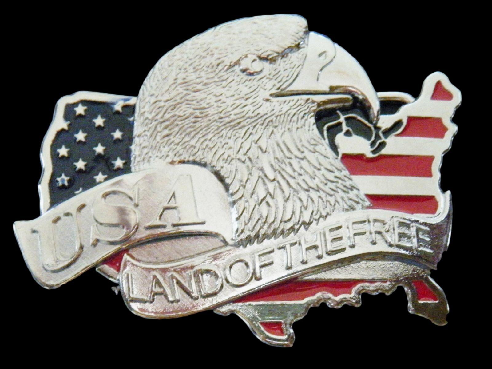 1600x1200 Bald Eagle American Flag Free
