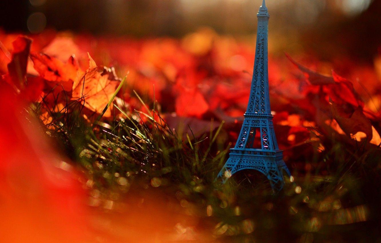 1332x850 Wallpaper autumn, grass, leaves, nature, France, Paris, Eiffel tower, Paris, grass, nature, France, autumn, leaves, Eiffel Tower image for desktop, section разное