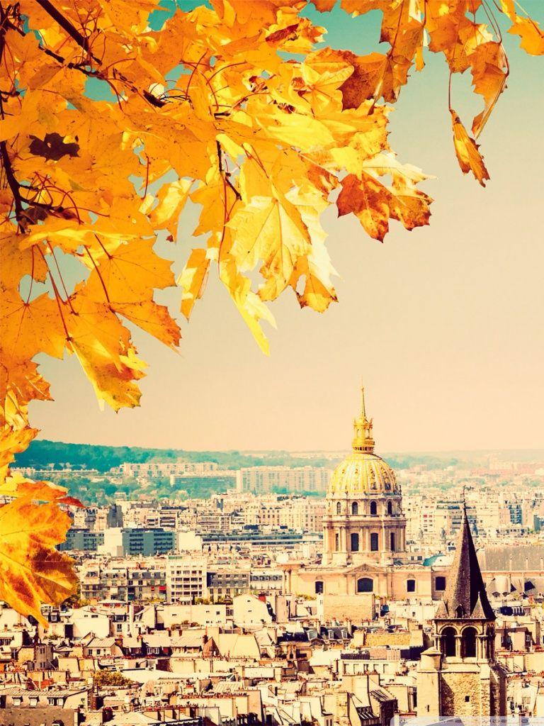 768x1024 Paris tree Ultra HD Desktop Background Wallpaper for 4K UHD TV : Tablet