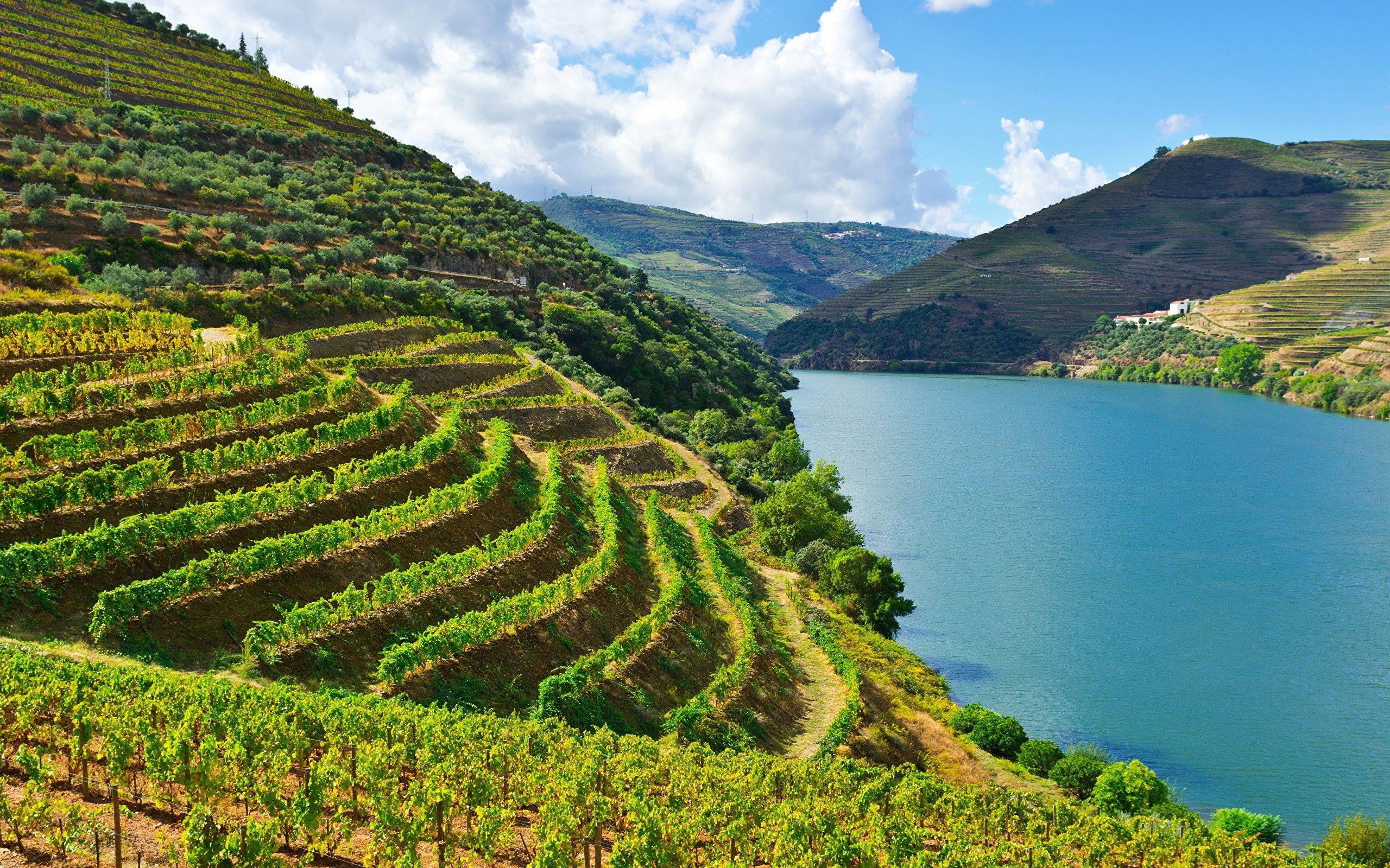 Hình nền 2560x1600 Cảnh thiên nhiên tuyệt đẹp của Sông Douro ở Bồ Đào Nha.  HD