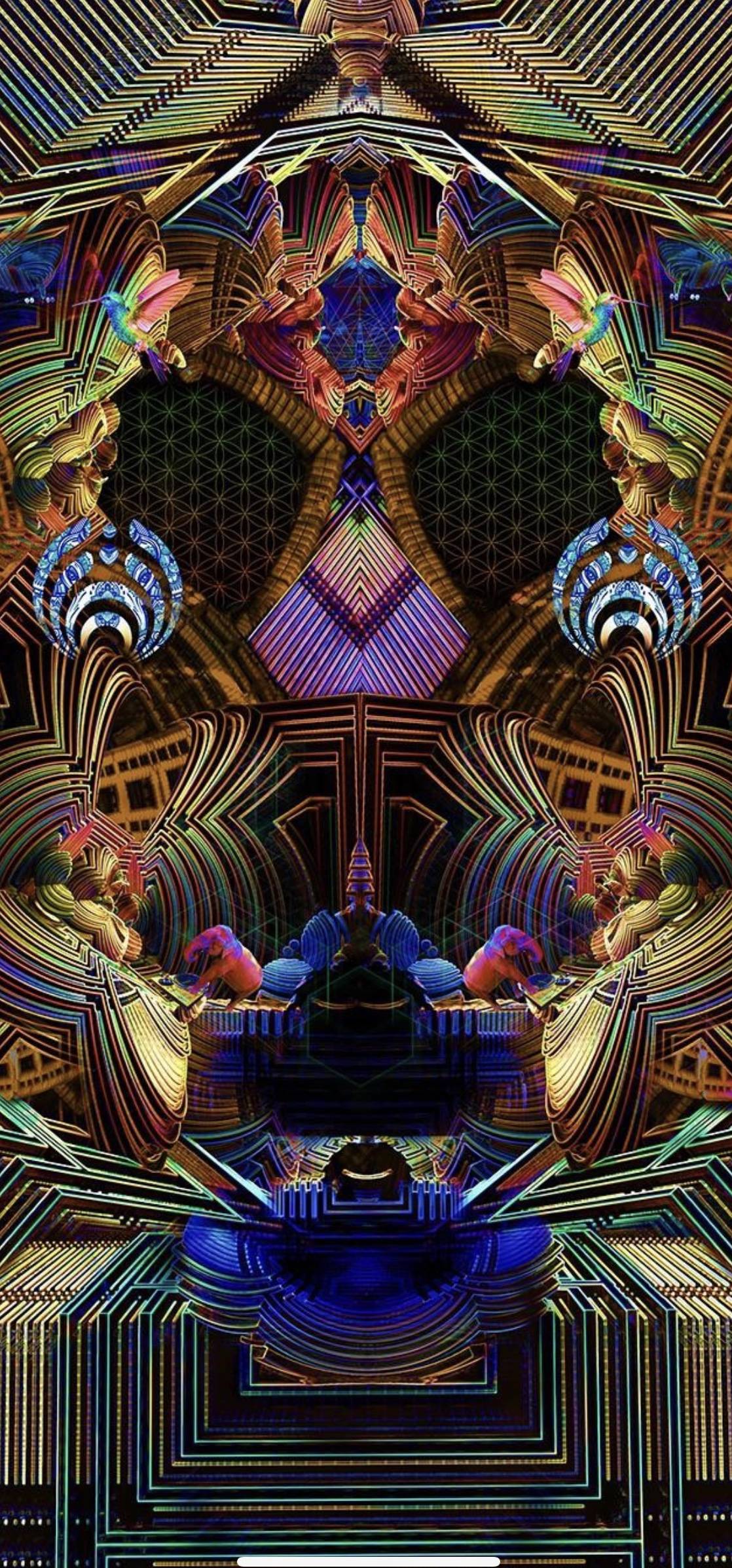 1118x2394 Bassnectar Phone Wallpaper