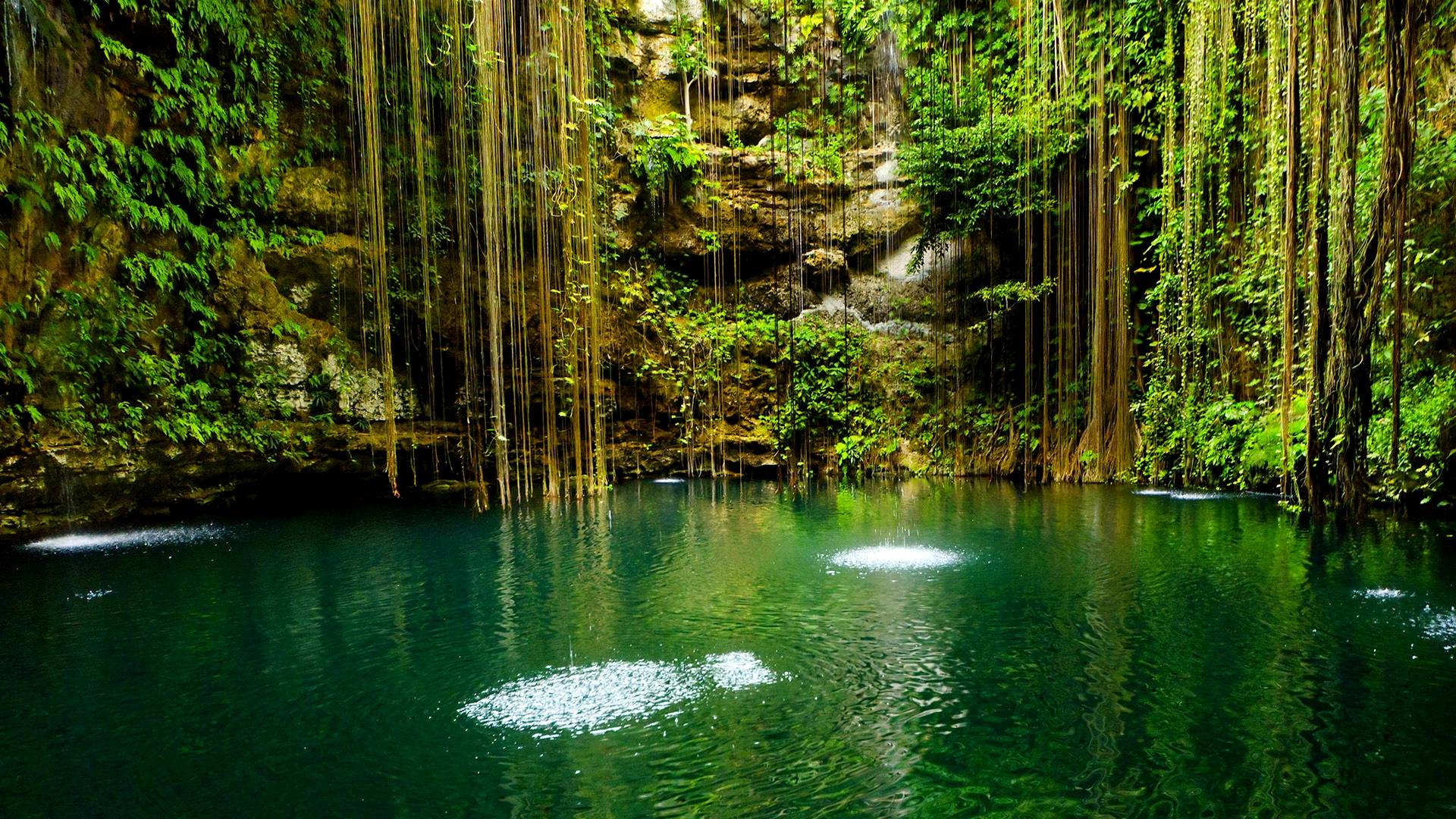 1920x1080 Beauties Nature Wallpaper