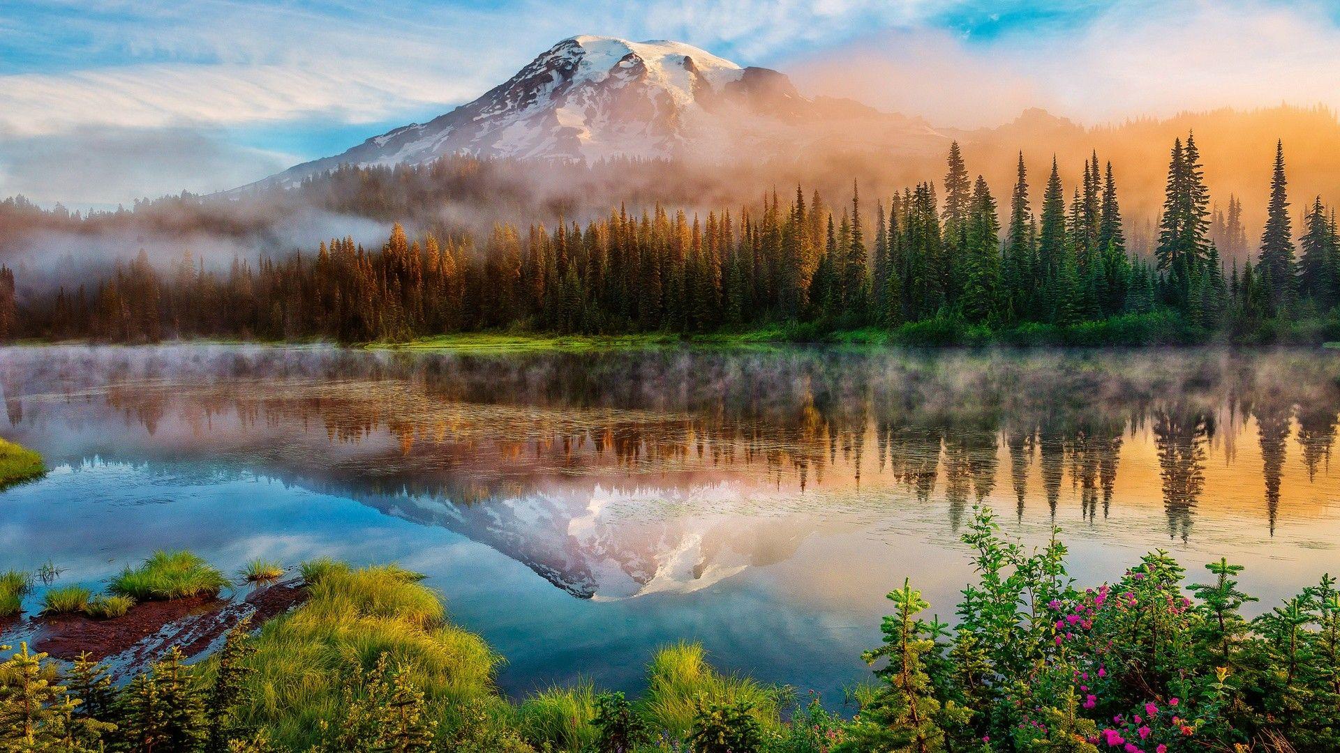 1920x1080 High Resolution Desktop Wallpaper Best Wallpaper HD Wallpaper 1080p Desktop Laptop Background Image Free Photo Nature Photography 1920x1080