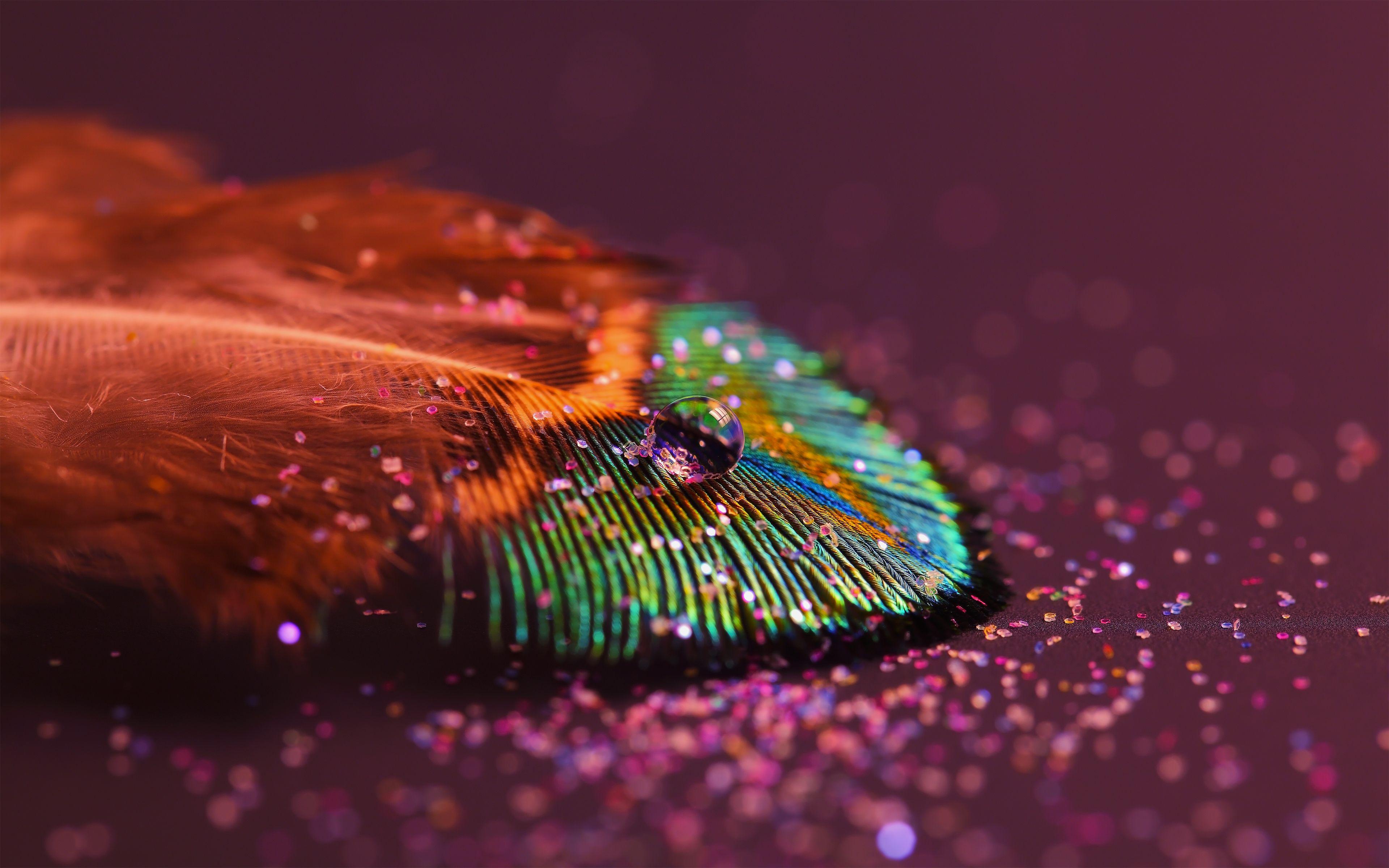 3840x2400 Free download Resolution Wallpaper Nature Photography 2 HD Wallpaper Desktop [3840x2400] for your Desktop, Mobile & Tablet. Explore Desktop Wallpaper Photography. Nature Photography Desktop Wallpaper, HD Photography Wallpaper, Caedes Desktop
