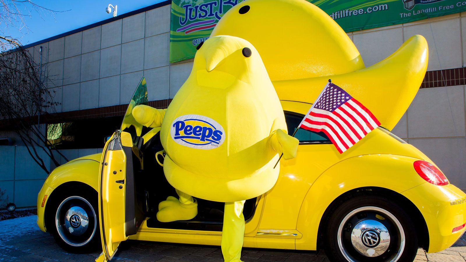 1600x900 How Does The PEEPS Chick Prep For Easter?