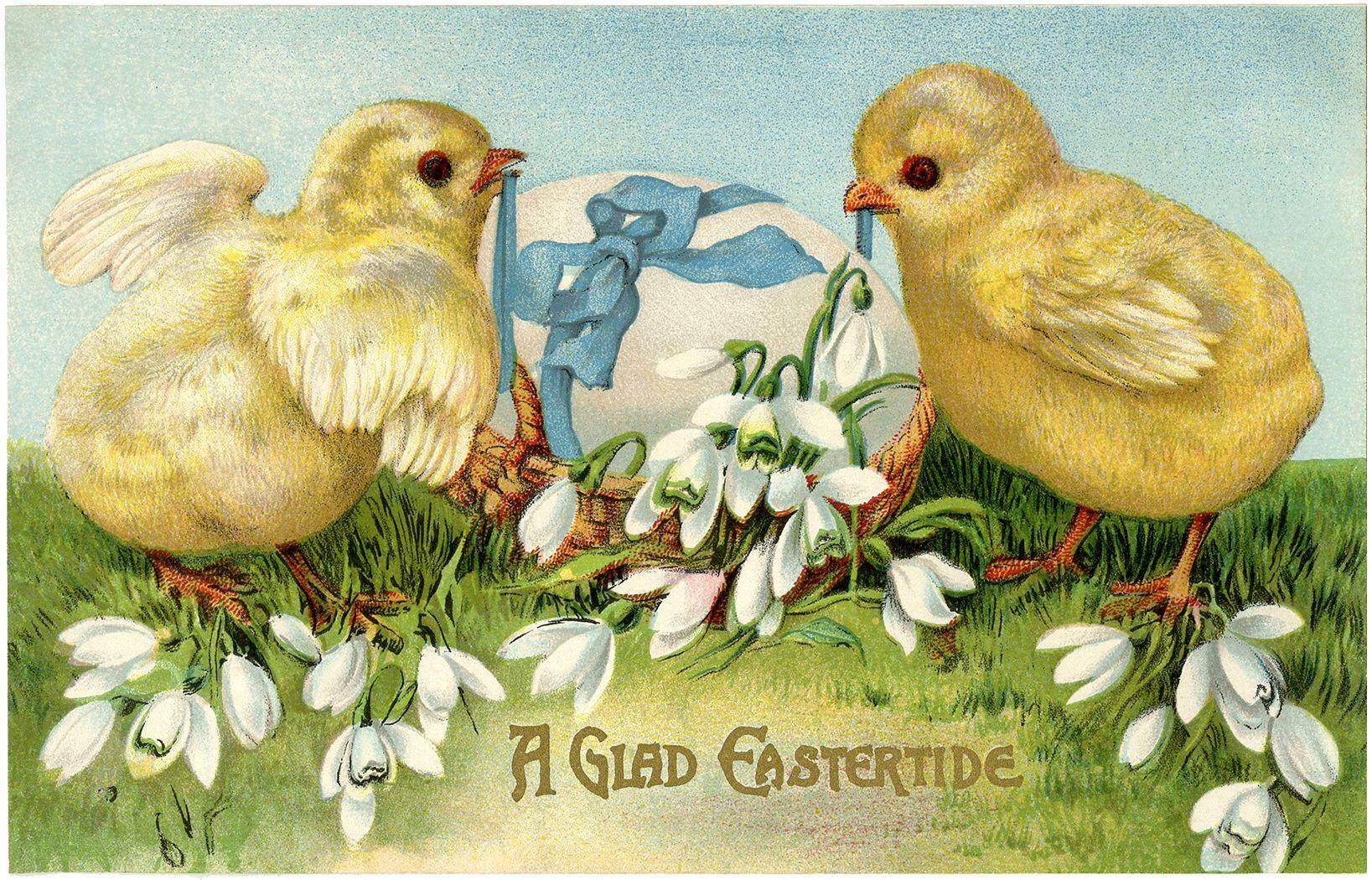 1637x1050 Vintage Easter Card Peeps! Graphics Fairy