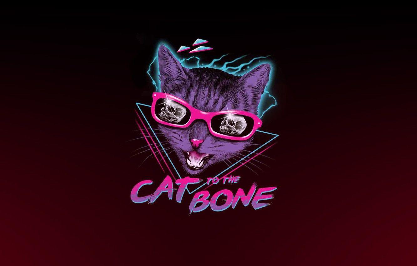 Neon Cat Wallpaper