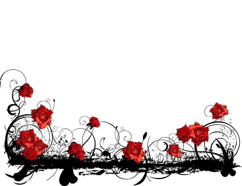 Elegant Red Rose Wallpapers Top Free Elegant Red Rose Backgrounds