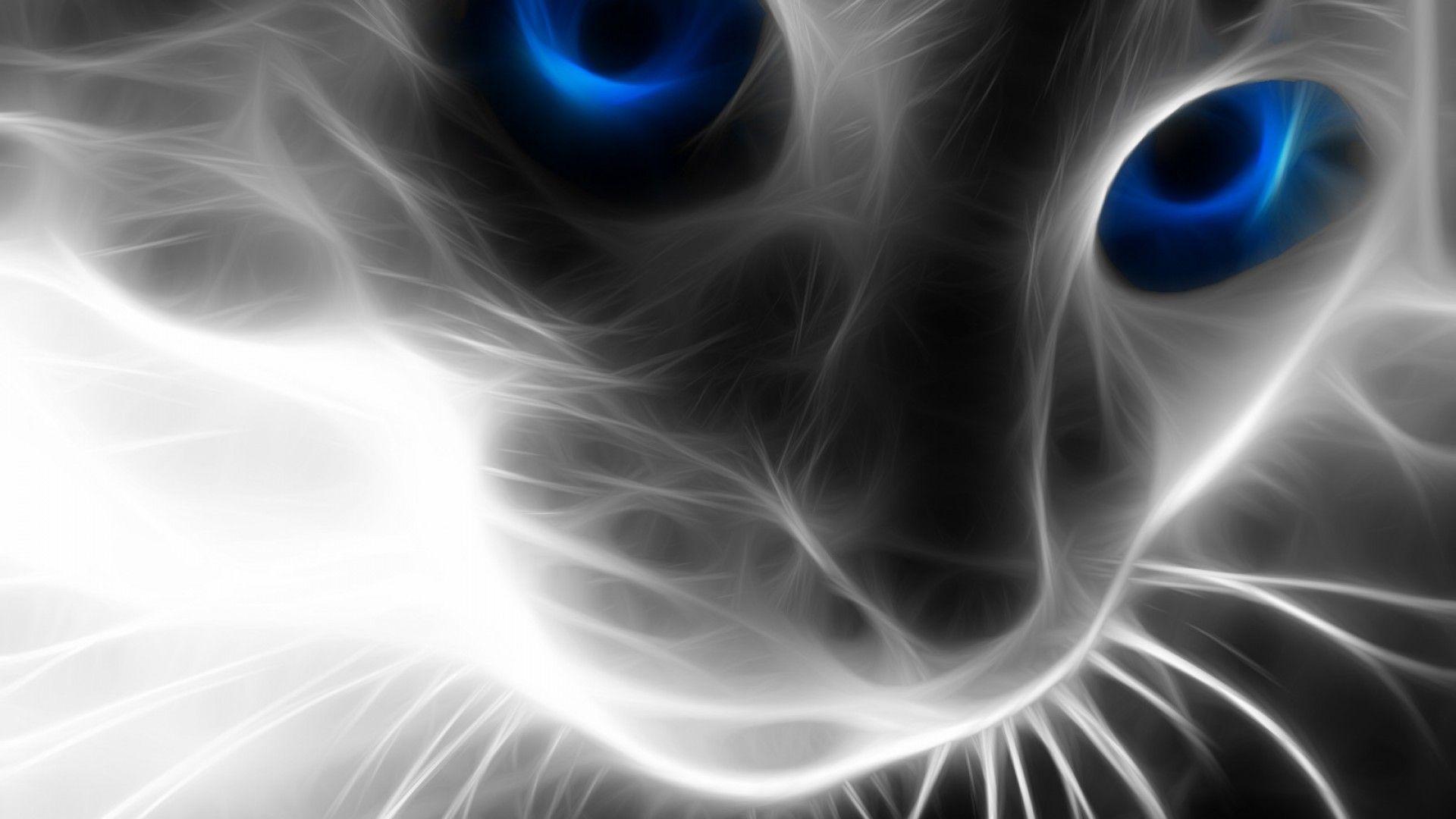 Neon Cat HD Wallpapers - Top Free Neon Cat HD Backgrounds - WallpaperAccess