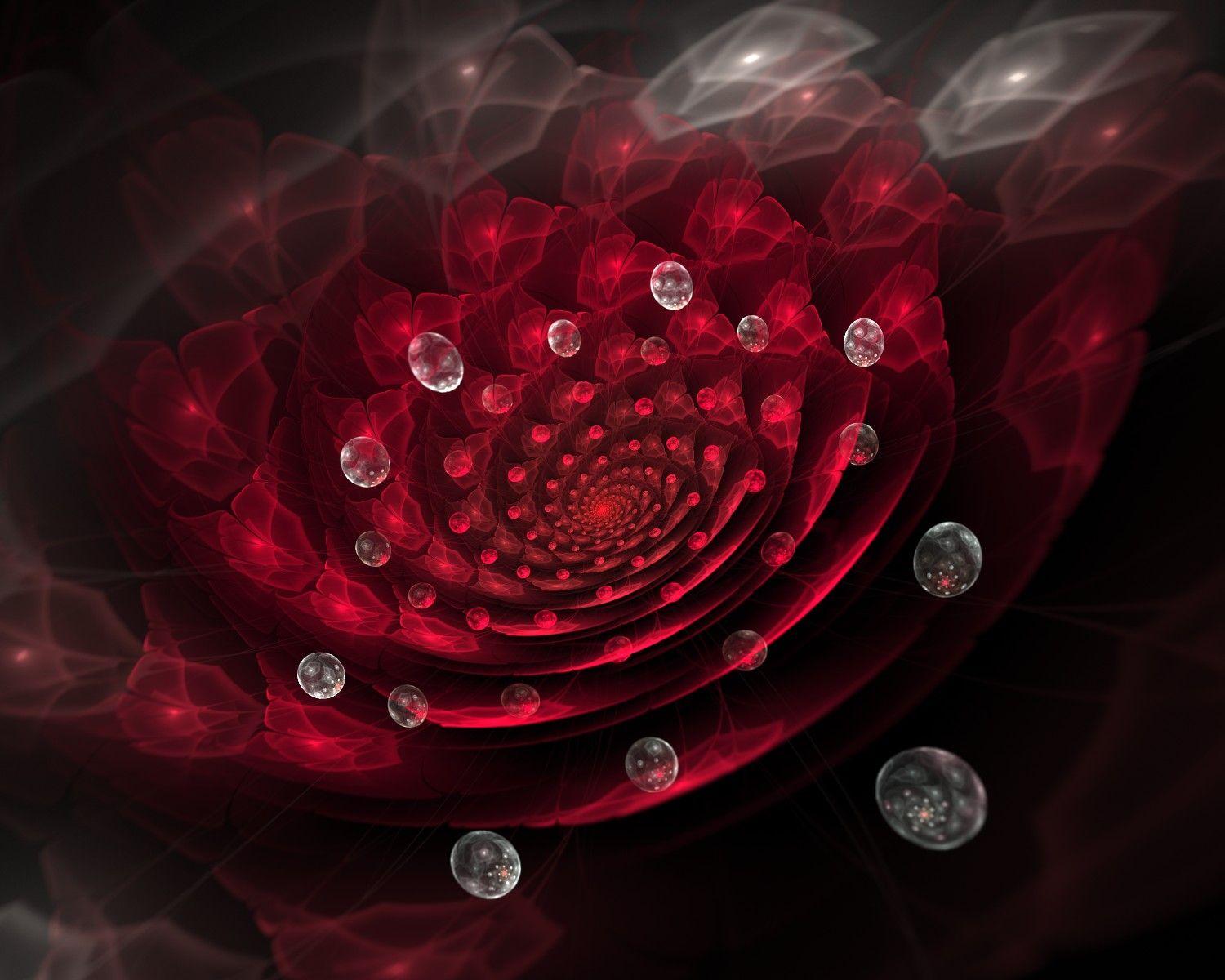 Burgundy Flower Wallpapers - Top Free Burgundy Flower Backgrounds