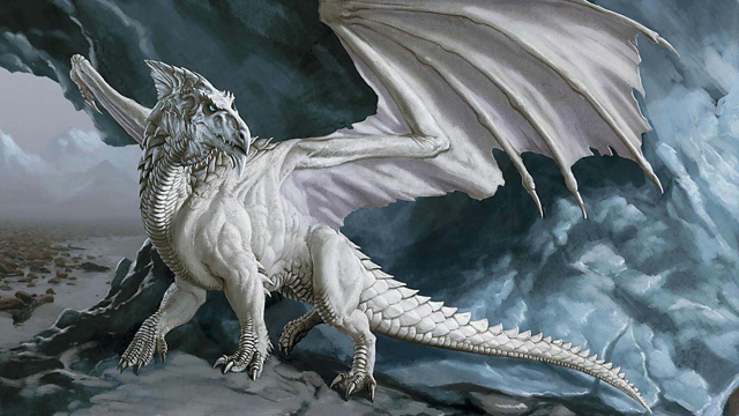2560x1440 White Dragon Wallpaper HD