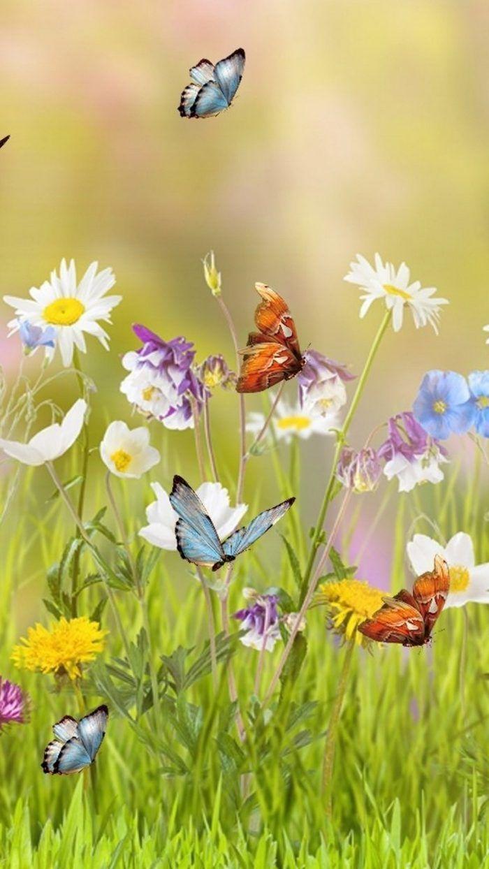 700x1244 iPhone Beautiful Spring Wallpaper
