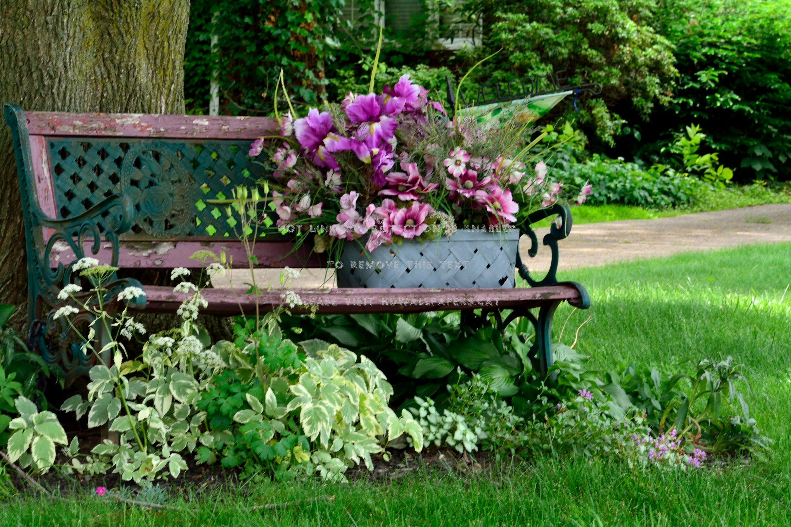 3000x2000 tranquil spring scene bench scenic peaceful